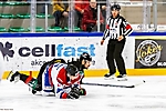 fot_34